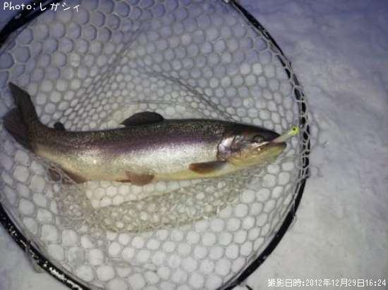 ���å��ȥ饦��