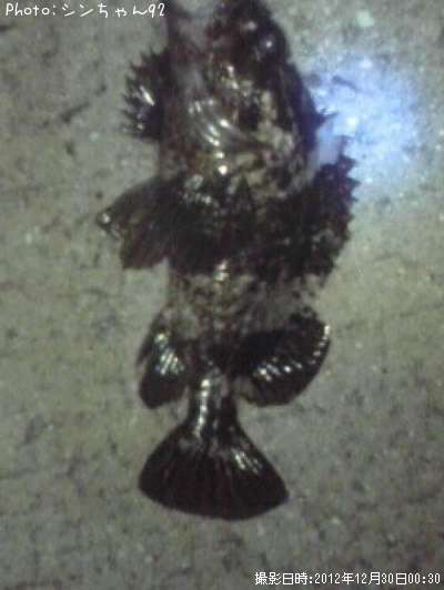 �����Υ���Х�