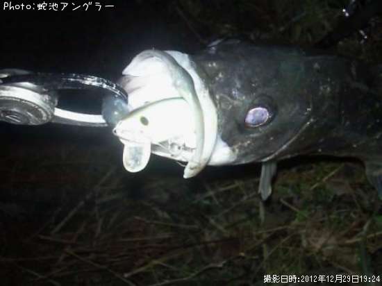 �����Х�