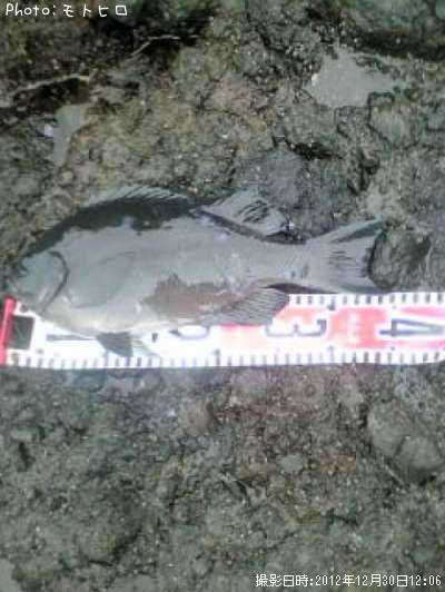 �����᥸��