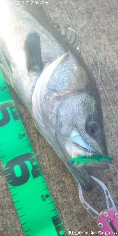 �����Х�