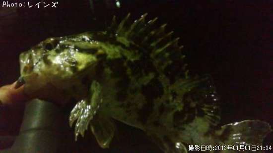 �����Υ���Х�