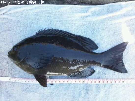 �����᥸��