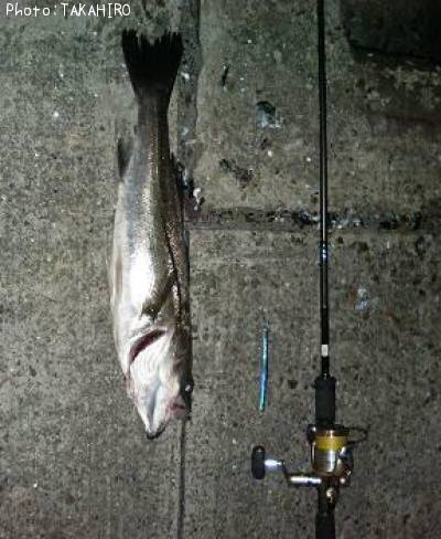 �����Х�