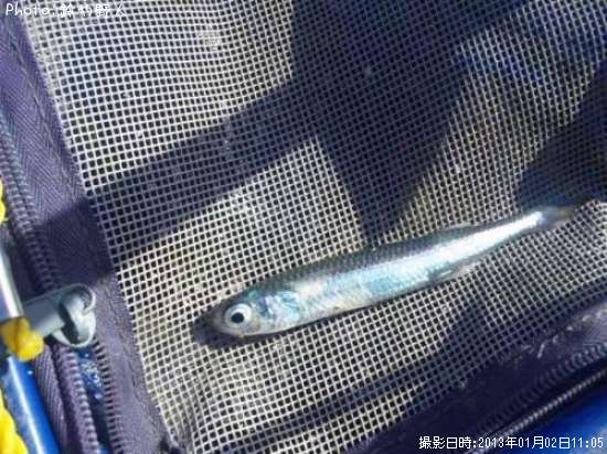 �ȥ����������亮