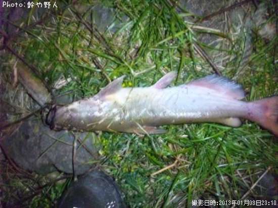 ����åȥե��å���