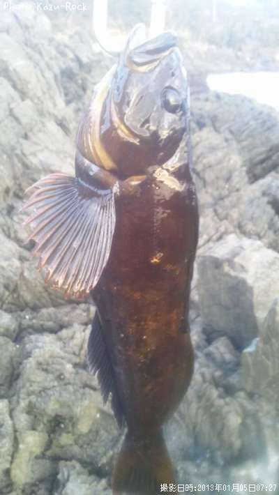 �����ʥ�