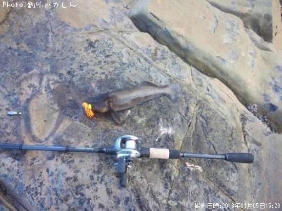 �����ʥ�