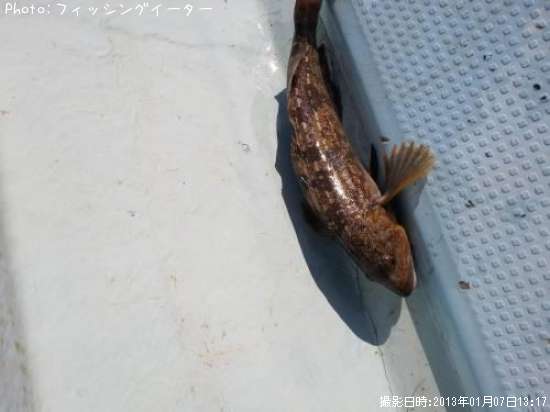 �����ʥ�