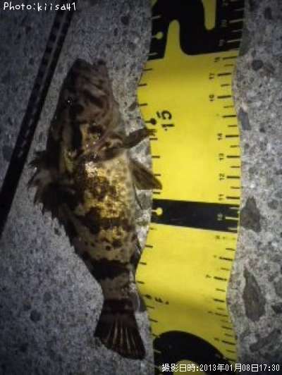 �����Υ���Х�