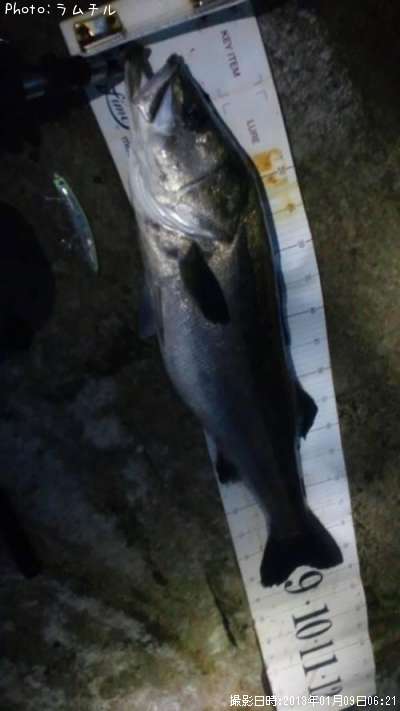 �����Х�