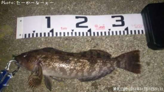 �����ʥ�