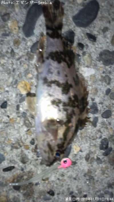 �����Υ���Х�