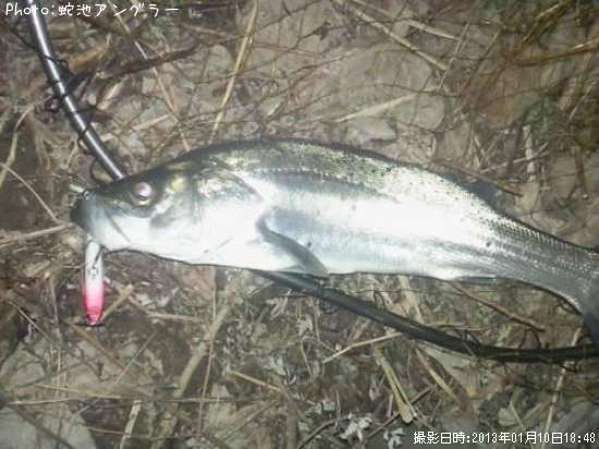 �����Х�