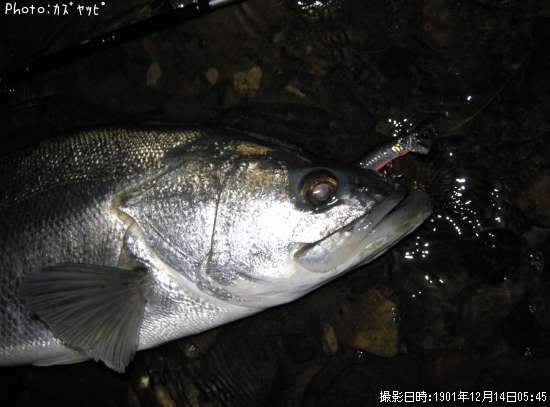 �����Х�