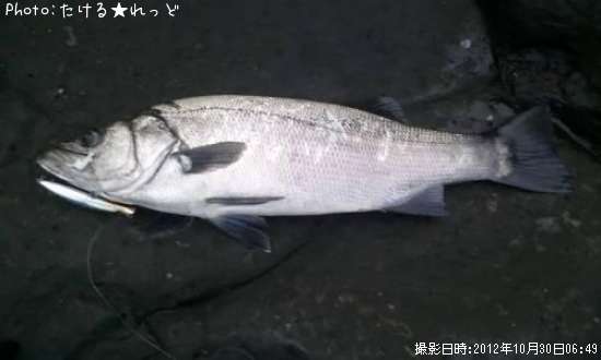 �ҥ饹����