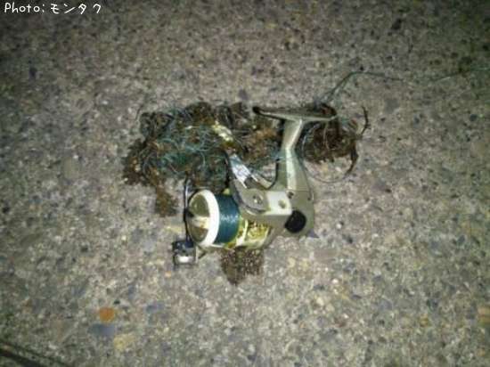 �꡼��Ǥ���