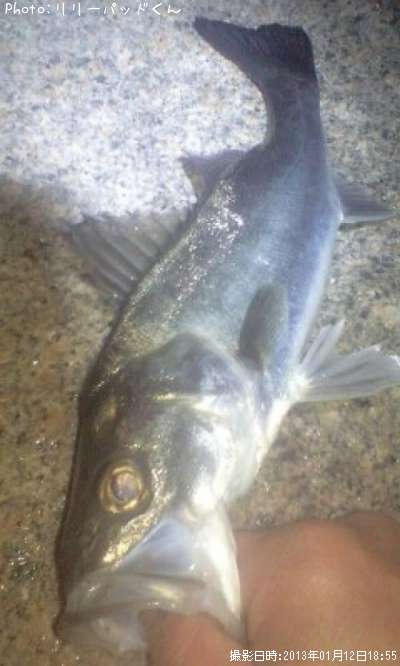 �ҥ��������һ�