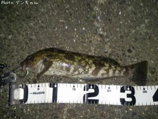 �����ʥ�