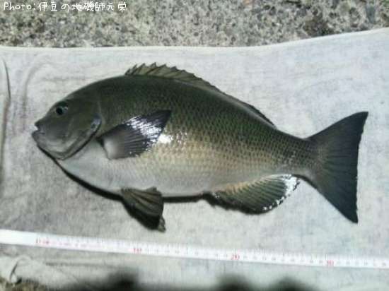 �����᥸��