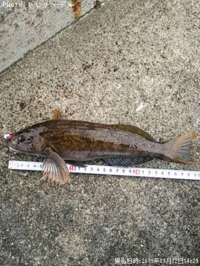 �����ʥ�