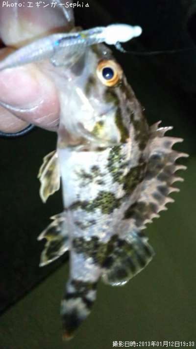 �����Υ���Х�