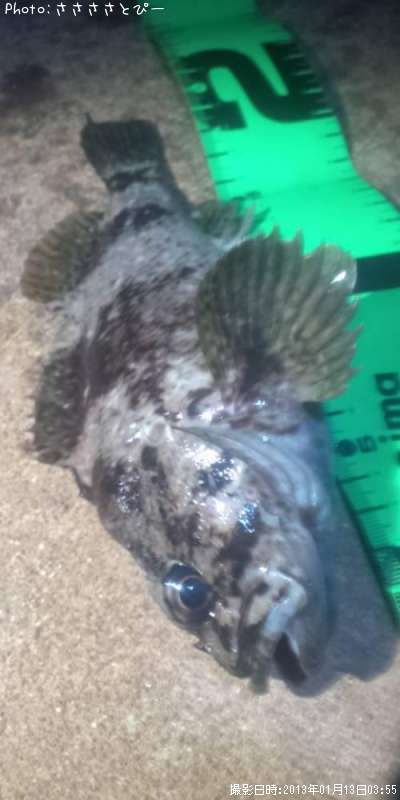 ��������Х�