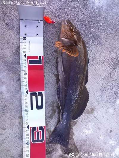 �����ʥ�