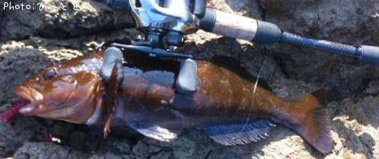 �����ʥ�