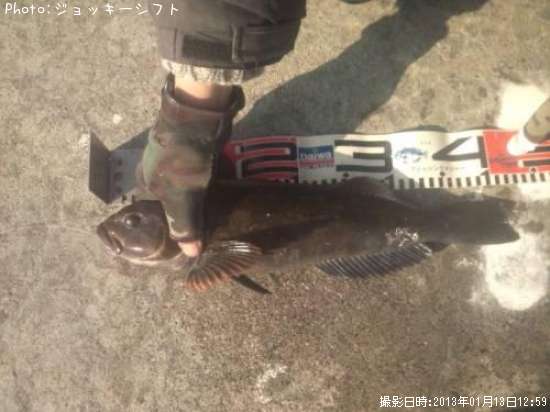 �����ʥ�