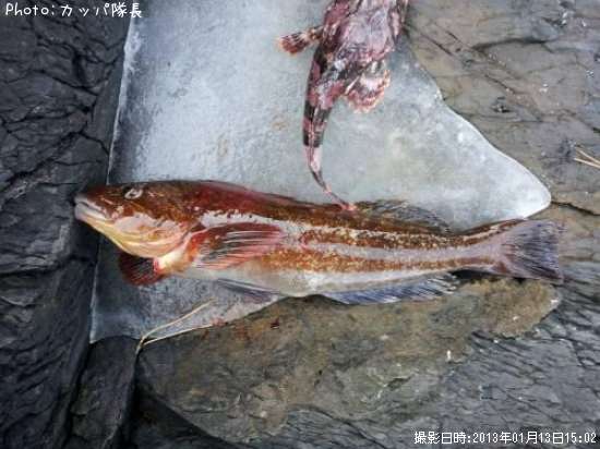 �����ʥ�