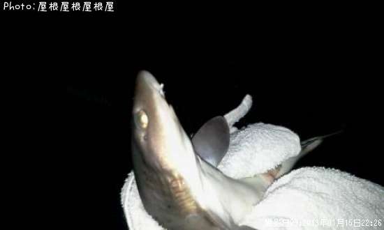 �ޤ�������