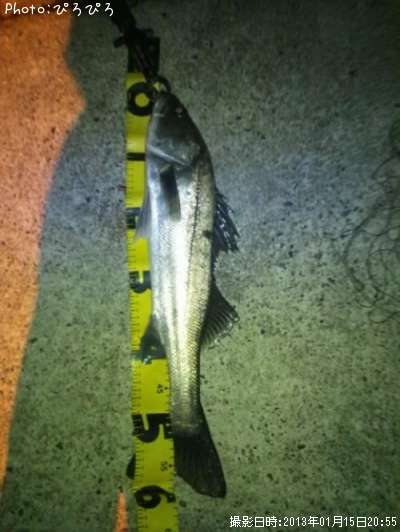 �����Х�