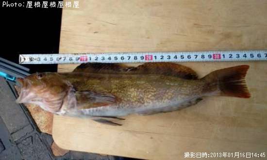 �����ʥ�ʾС�