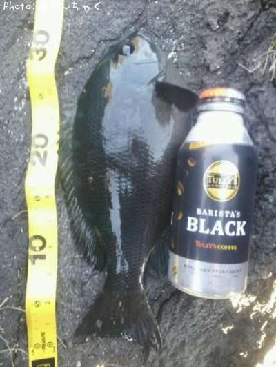 �����᥸��