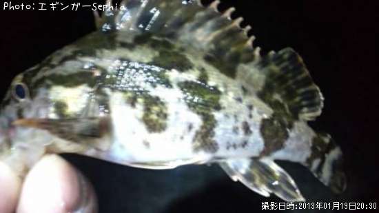 �����Υ���Х�