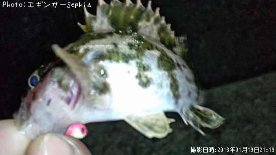 �����Υ���Х�