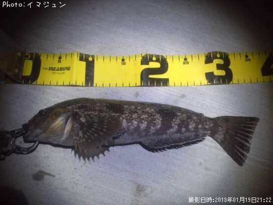 �����ʥ�