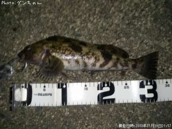 �����ʥ�