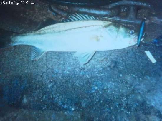 �����Х�