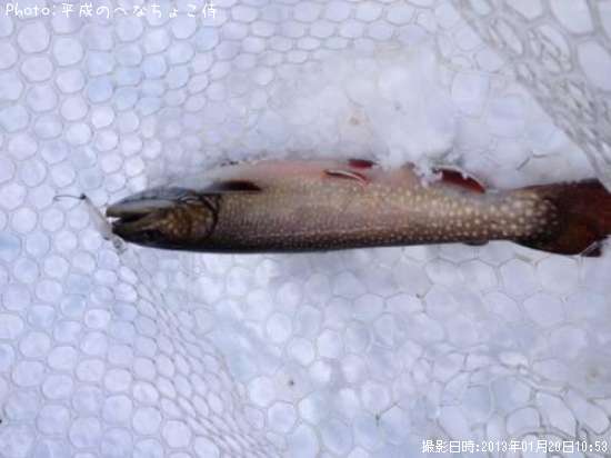 ���㥬���ȥ饦��