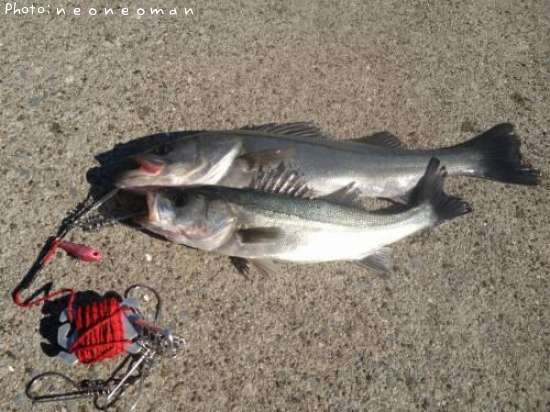 �����Х�