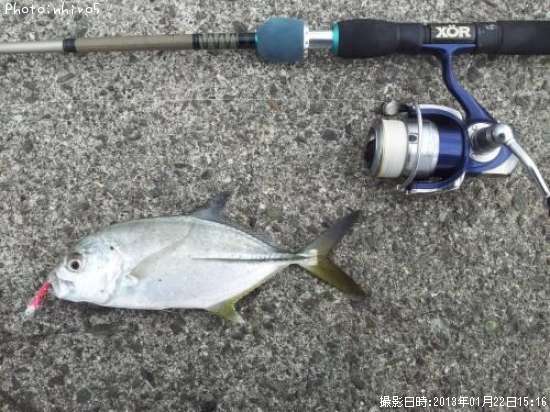 ��å�����