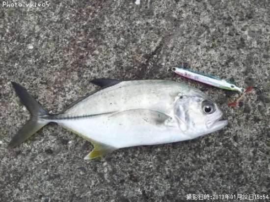 ��å�����