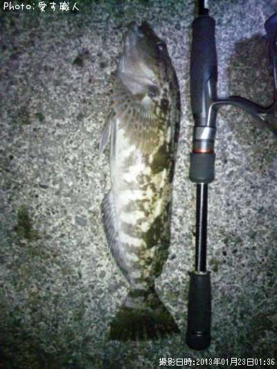 �����ʤ�