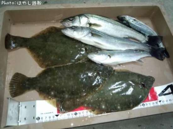 �ޥ����쥤���եå�