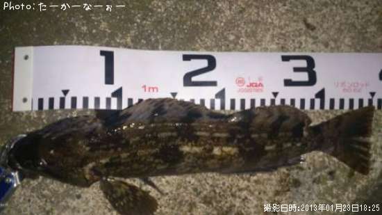 �����ʥ�