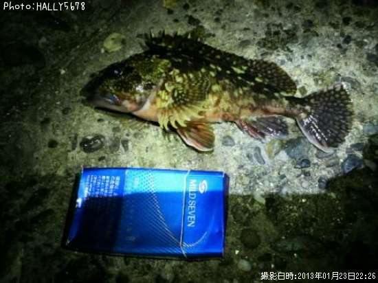 ������
