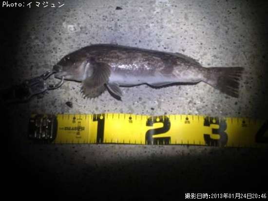 �����ʥ�