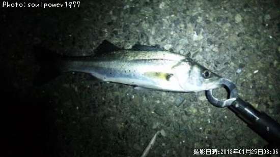 �����Х�